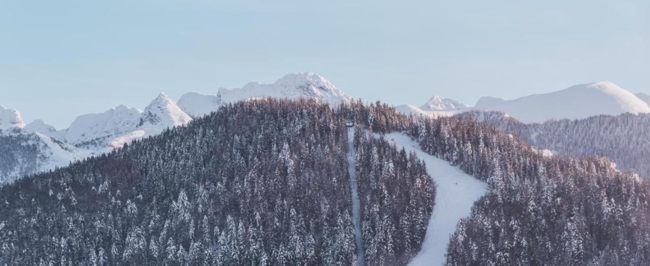 Nosal Ski & Wine Apartments Закопане Екстер'єр фото