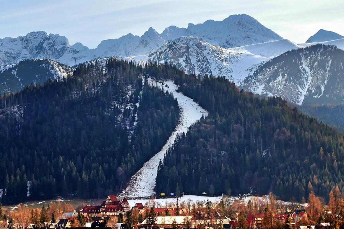Nosal Ski & Wine Apartments Закопане Екстер'єр фото